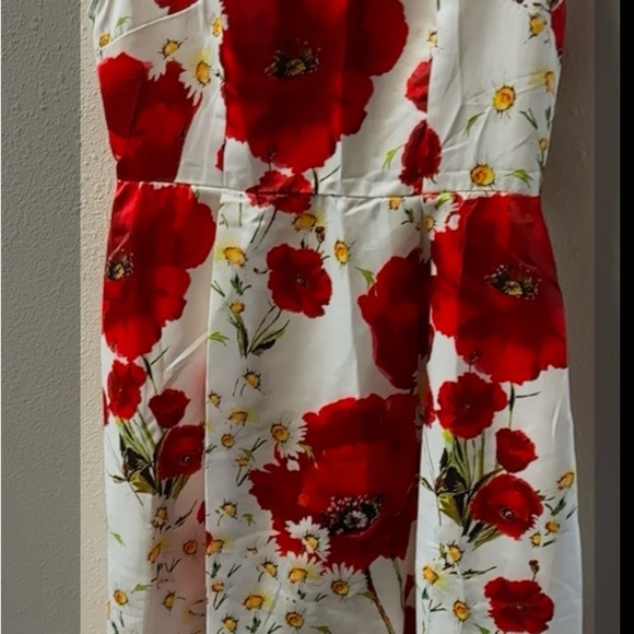 STYLEWE Asymmetrical Floral Dress - Red and White - Picture 2 of 6